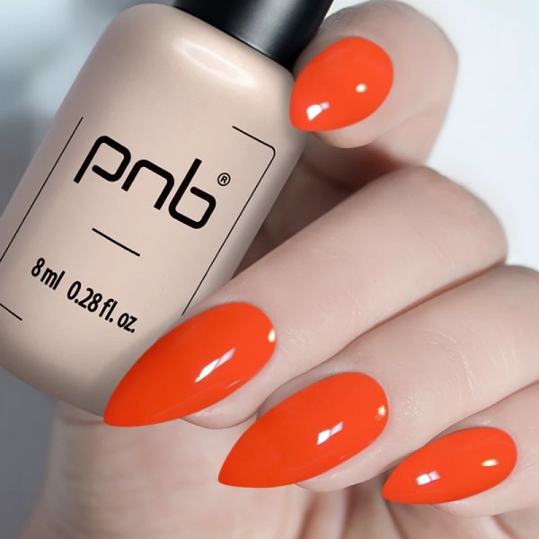 Гел лак PNB 8 мл 255